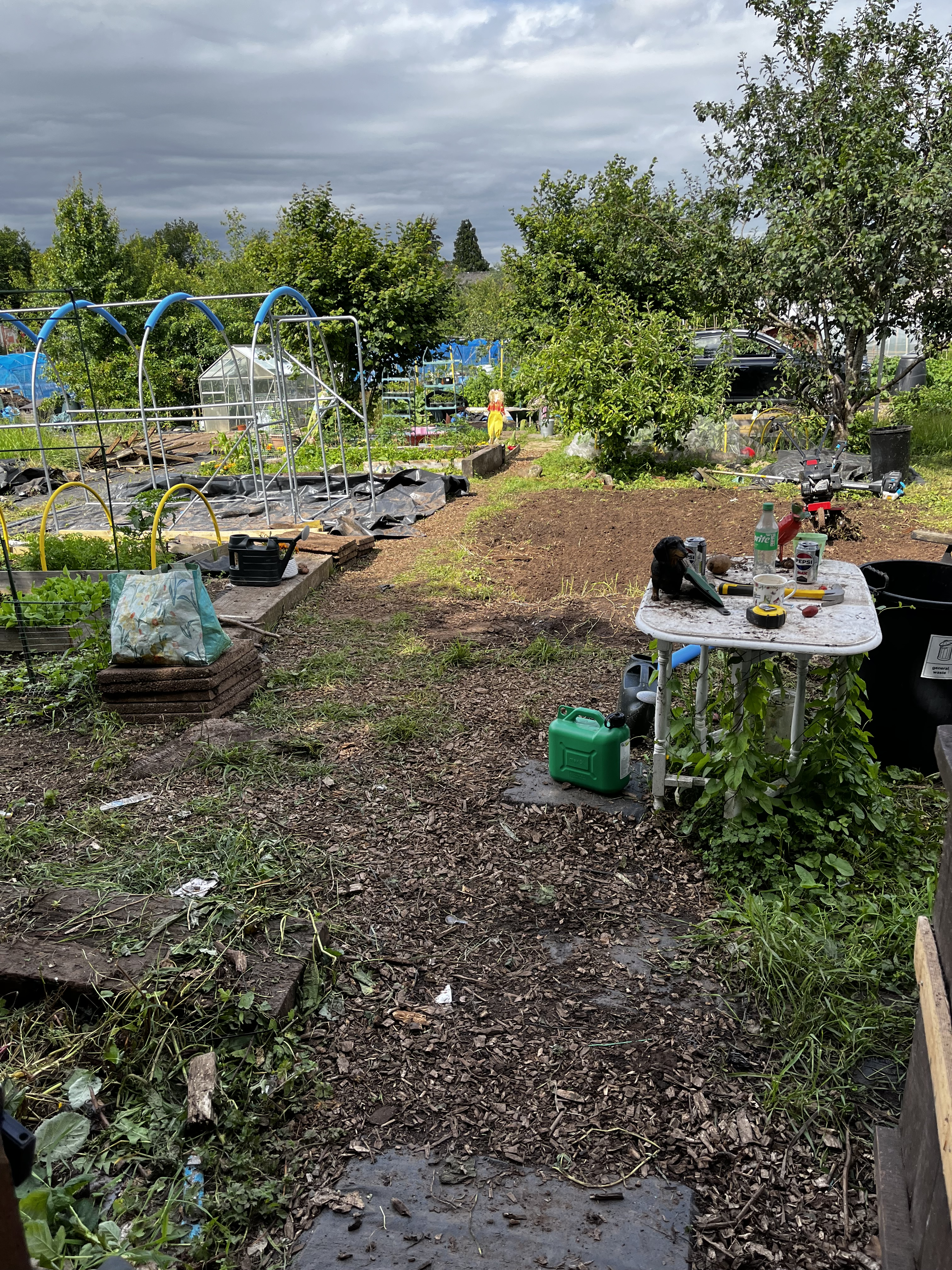 The Grotty Lotty Allotment